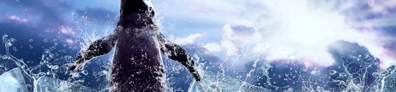 header7.jpeg
